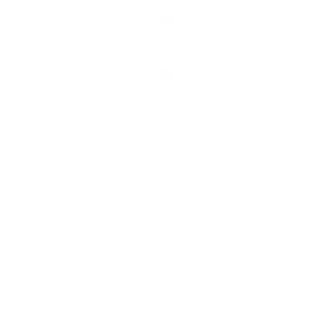 call icon